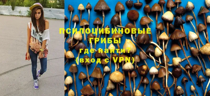 что такое наркотик  Байкальск  Галлюциногенные грибы Psilocybe 